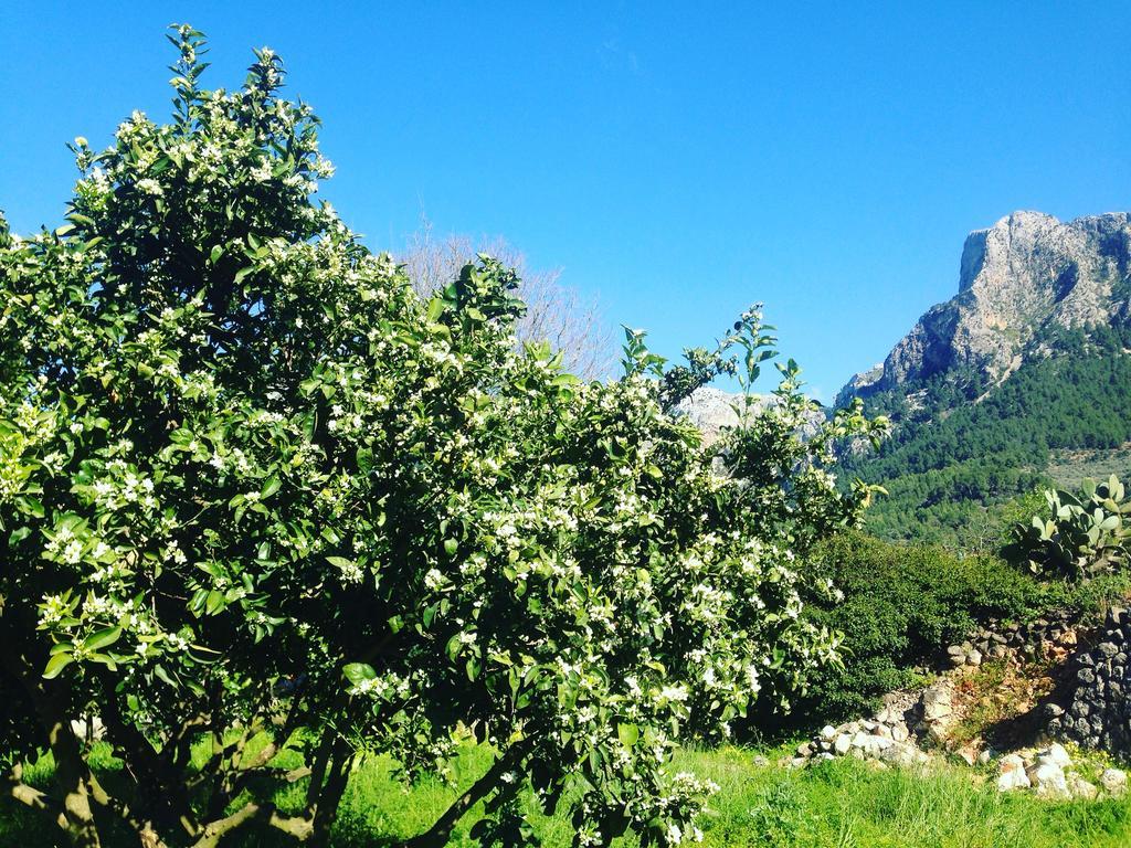 Finca Cas Sant Villa Soller Exterior photo